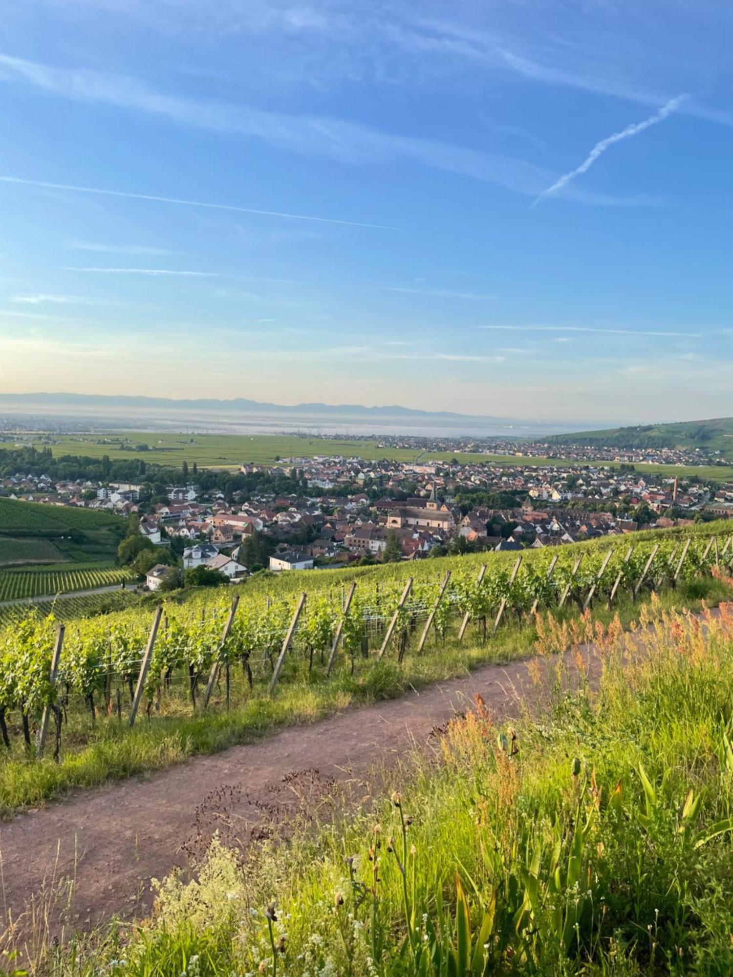 Le Trente A Turckheim Villa ภายนอก รูปภาพ